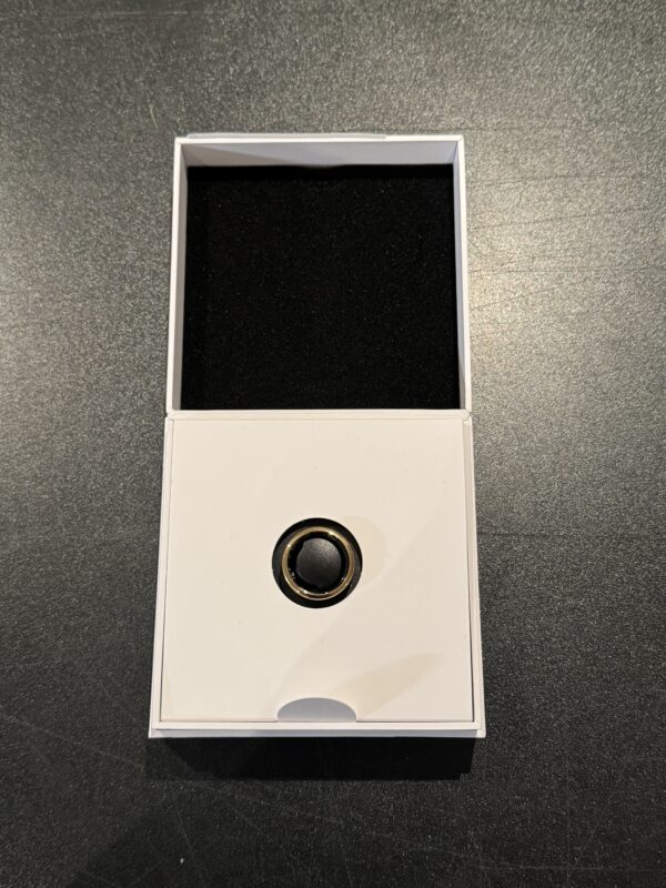 Oura Ring Gen3 Horizon smartring storlek 8 (guld) - Bild 3